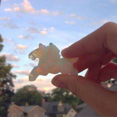 爱游戏官方app下载