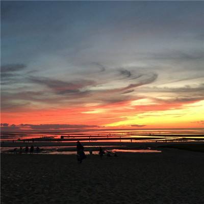 任你博下载手机版