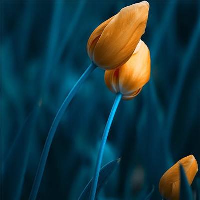 金年会体育登录入口